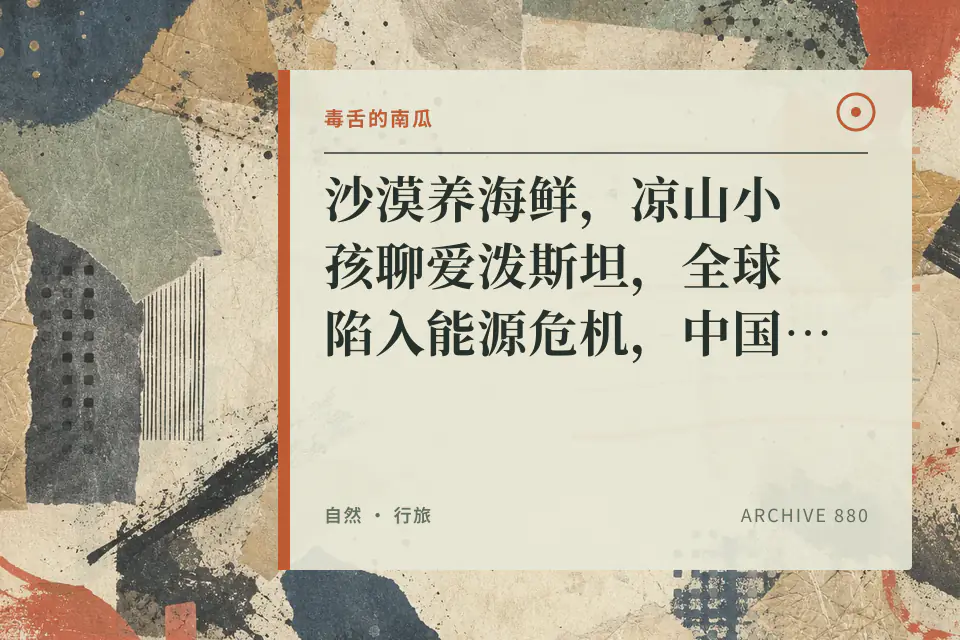 沙漠养海鲜，凉山小孩聊爱泼斯坦，全球陷入能源危机，中国凭什么可以独善其身？【毒舌的南瓜】封面